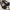 Goth Lolita Loafer Wanita white black photo 2