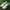 Onitsuka Tiger Casual Sneakers Pria white black photo 3
