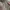 Vivienne Westwood Lolita Coquette Shoulder bag Wanita pink photo 6