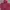 GAP Casual Fur coat Kids red pink photo 3