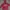 GAP Casual Fur coat Kids red pink photo 1