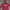 GAP Casual Fur Coat Kids Red Pink