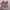 Lolita Cosplay Babydoll dress Wanita white pink photo 3