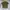 Carhartt Streetwear Skater T-shirt Pria multicolor photo 1