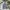 Streetwear Skater Jeans Pria multicolor photo 3