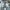 Streetwear Skater Jeans Pria multicolor photo 2