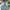 Streetwear Skater Jeans Pria multicolor photo 4
