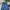 Streetwear Skater Jeans Pria multicolor photo 2