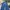 Streetwear Skater Jeans Pria multicolor photo 4