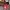 Y2K Emo Sweatpants & Joggers Pria red photo 4