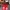 Y2K Emo Sweatpants & Joggers Pria red photo 3