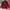 Nautica Streetwear Casual Sweatshirt Pria red photo 1
