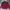 Nautica Streetwear Casual Sweatshirt Pria red photo 3