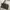 Bossini Casual Bag Pria black gray photo 5