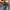 Red Pepper Vintage Streetwear Jeans Pria white blue photo 3