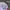 Y2K Hat Pria white red photo 3