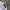 Y2K Hat Pria white photo 3