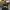 Y2K Grunge Sweatpants & Joggers Pria navy black photo 3
