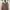 Liz Lisa Vintage Coquette Babydoll dress Wanita pink brown photo 2