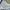 Kodak Minimalist Crop top Wanita blue photo 6