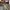 Streetwear Skater Jeans Pria multicolor photo 5
