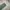 Japanese brand Vintage Casual pants Pria green photo 3