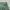 Japanese brand Vintage Casual pants Pria green photo 5