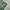 Japanese brand Vintage Casual pants Pria green photo 4