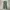 Japanese brand Vintage Casual pants Pria green photo 2