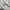 Polo Ralph Lauren Casual Casual pants Pria white photo 5