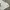 Polo Ralph Lauren Casual Casual pants Pria white photo 3