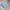 Casual Formal shirt Pria blue photo 1