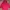 Lacoste Luxury Gorpcore Windbreaker Pria Red
