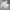 Streetwear Luxury Casual shirt Pria white photo 2