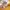 Casual Jersey Pria yellow photo 3