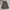 Japanese brand Vintage Y2K Skirt Wanita tan brown photo 1