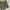 Vintage Y2K Short Wanita green photo 2