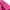 The North Face Gorpcore Puffer jacket Wanita pink photo 6