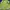 Lafuma Sportswear Track jacket Pria navy blue photo 6