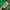 Adidas Streetwear Sportswear Track jacket Pria green photo 4