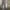 C.P. Company Avant Garde Casual Pria gray photo 1