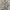 Vintage Cottagecore Summer dress Wanita cream blue photo 2