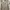 Vintage Cottagecore Summer dress Wanita cream blue photo 4