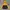 Adidas Gorpcore Sportswear Windbreaker Pria Black Yellow