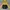 Adidas Gorpcore Sportswear Windbreaker Pria black yellow photo 2
