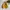 Kodak Vintage Bomber jacket Pria yellow photo 2
