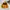 Casual Track jacket Pria yellow photo 1