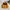 Casual Track Jacket Pria Yellow