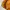 Casual Track jacket Pria yellow photo 3