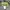 Vintage Bomber jacket Pria green photo 6